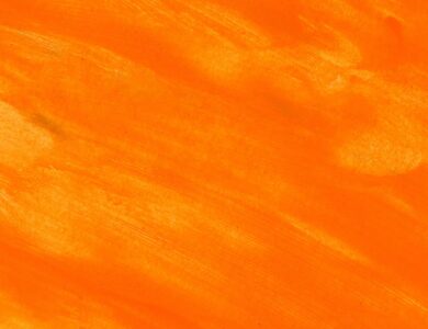 Oranje avança em IPO Reverso na B3 e mira ser maior Bitcoin Treasury da América Latina