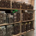 Rodrigo Tolotti avatar