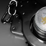 Rodrigo Tolotti avatar