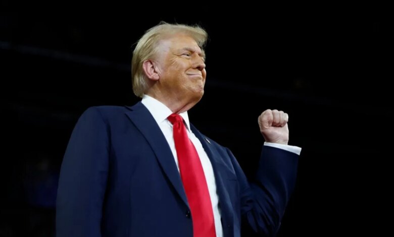 Rodrigo Tolotti avatar