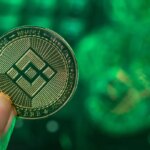 Rodrigo Tolotti avatar