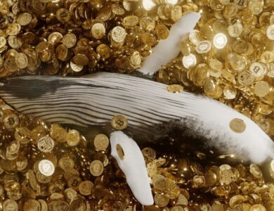 Baleia lucra R$ 880 milhões com queda do Bitcoin e comunidade suspeita que ele “sabia de algo”