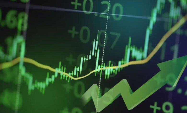 Rodrigo Tolotti avatar