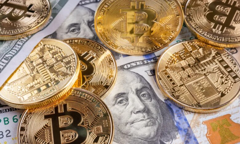 Rodrigo Tolotti avatar