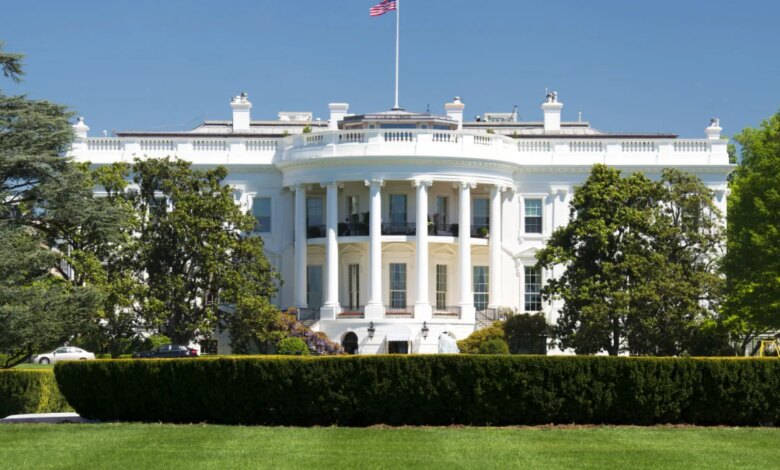 Rodrigo Tolotti avatar