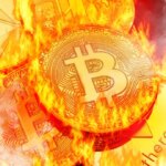 Fernando Martines avatar