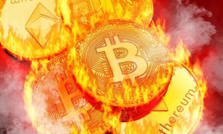 Fernando Martines avatar