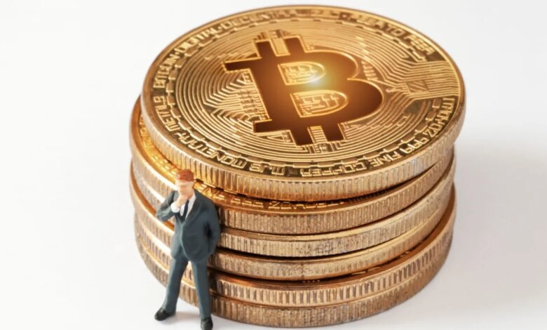 Rodrigo Tolotti avatar