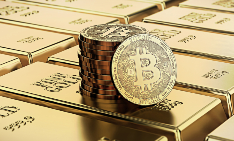 Rodrigo Tolotti avatar