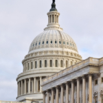 Fernando Martines avatar