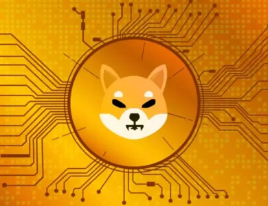 Valor do SHIB pode disparar com retomada do Shibarium