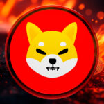 comunidade-shiba-inu-queima