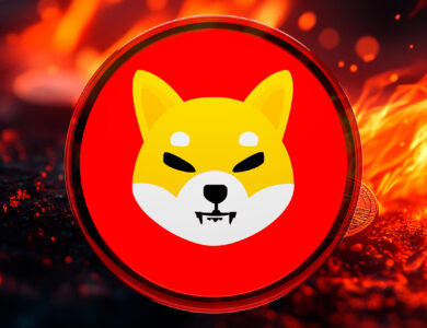 comunidade-shiba-inu-queima