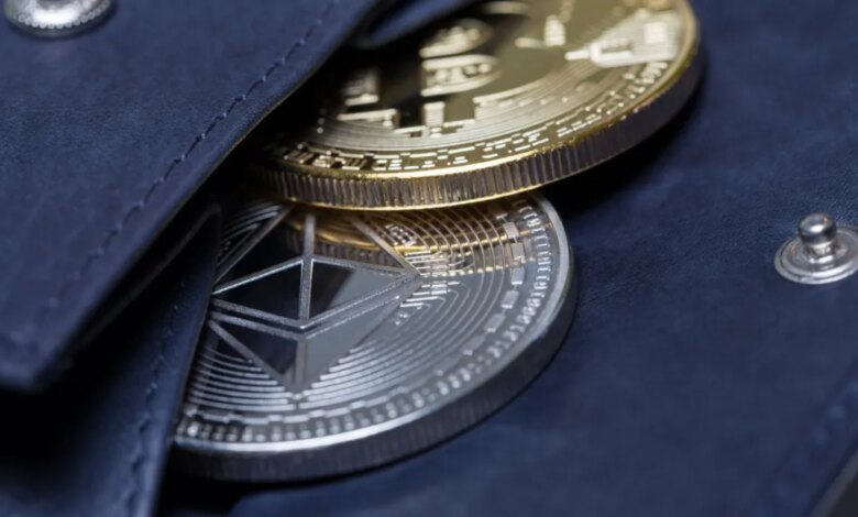 Rodrigo Tolotti avatar