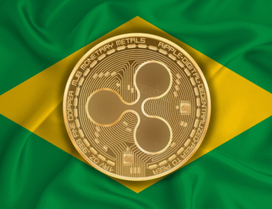 Rodrigo Tolotti avatar