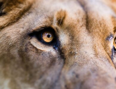 ABcripto elogia novas regras de criptoativos da Receita Federal