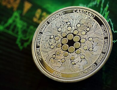 Rodrigo Tolotti avatar