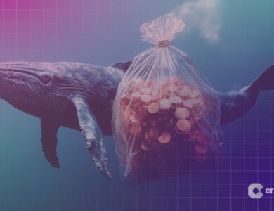 Baleias Ethereum acendem alerta após compra de US$ 1,37 bilhão