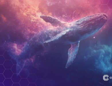 Baleias compram R$ 144 bilhões em ETH