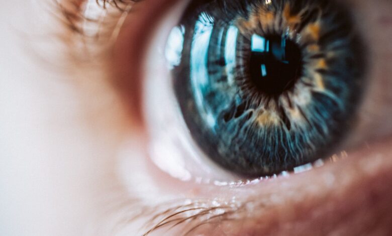 CPI da Íris apura que brasileiro recebeu milhões em Worldcoin para abrir lojas em São Paulo