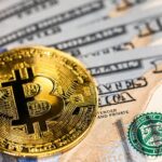 EUA podem permitir pagamento de impostos com Bitcoin sem taxas extras e criar reserva nacional