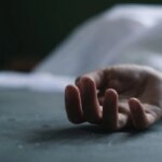 Fernando Martines avatar