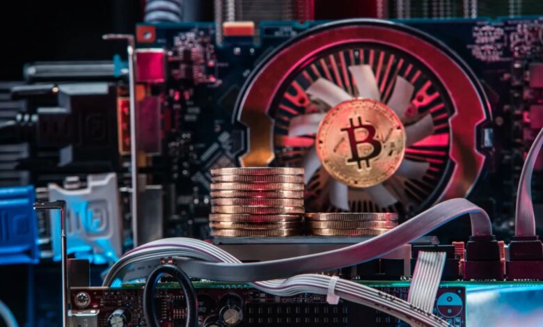 Rodrigo Tolotti avatar