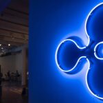 Ripple compra a Palisade para oferecer solução completa de custódia de ativos digitais
