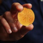 cardano-ada-altcoin
