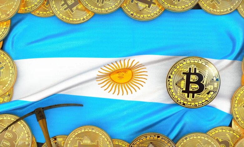 Rodrigo Tolotti avatar