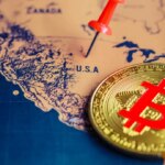 Rodrigo Tolotti avatar