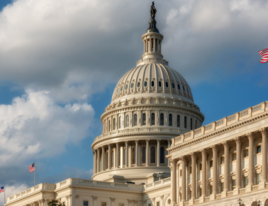 Rodrigo Tolotti avatar