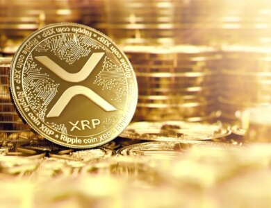 Rodrigo Tolotti avatar