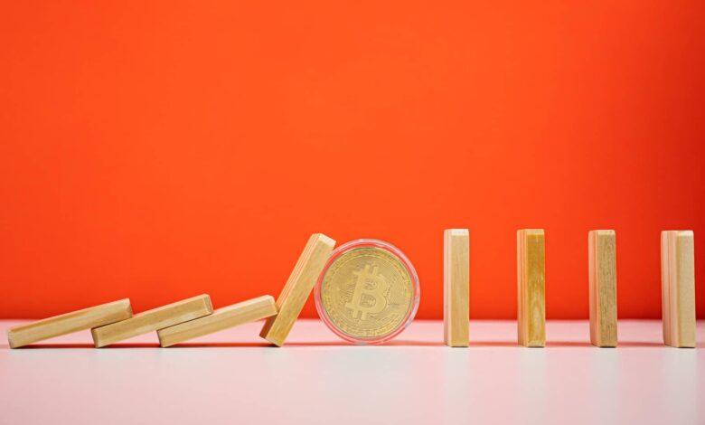 ETFs de Bitcoin registram maior entrada diária desde o início de novembro