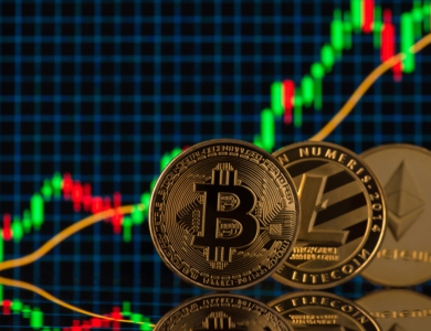 Fernando Martines avatar