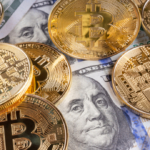 Rodrigo Tolotti avatar