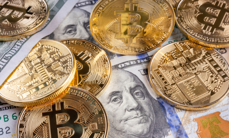 Rodrigo Tolotti avatar