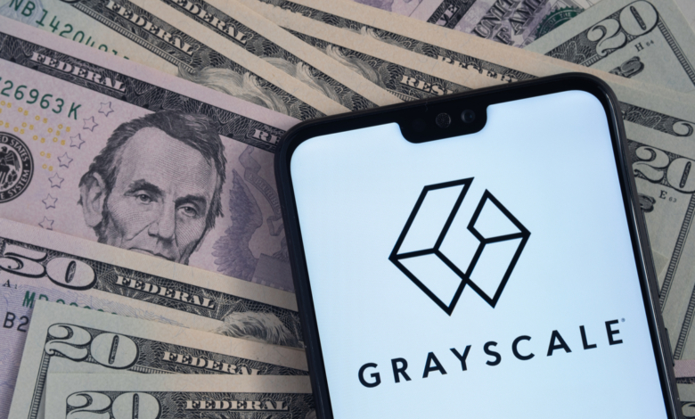 Rodrigo Tolotti avatar