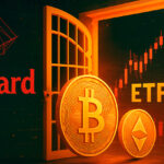 vanguard-libera-negociacao-de-etfs