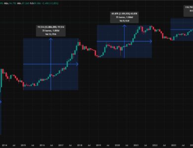 Ciclos do Bitcoin. Fonte: TradingView.