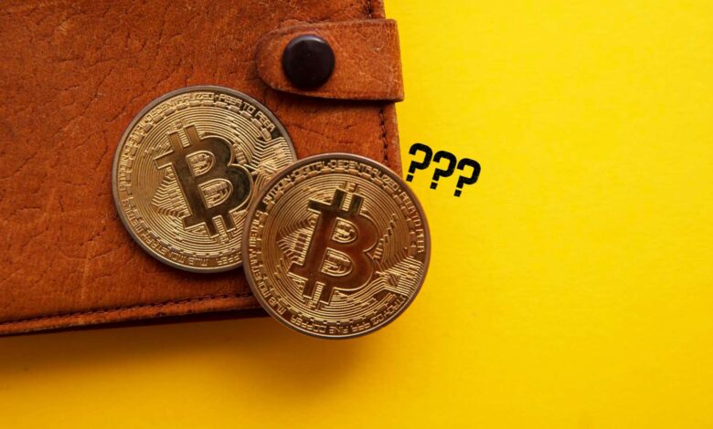 Deputado quer lei que obriga herança de Bitcoin e redes sociais aos familiares