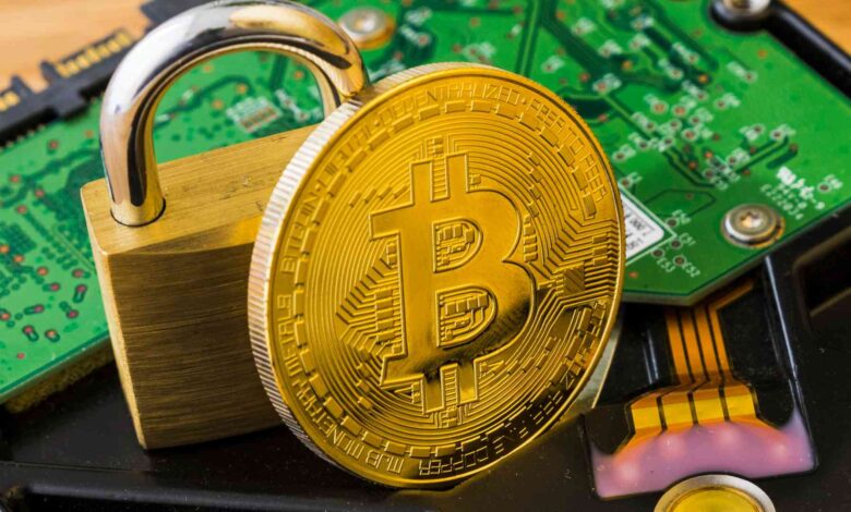 Binance apoia operação internacional contra golpes com criptomoedas