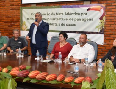 Tecnologia blockchain rastreia produção de cacau em novo projeto na Bahia