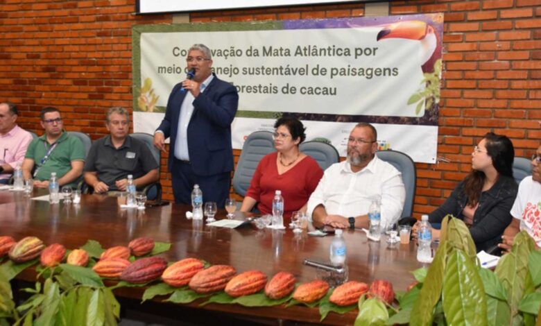 Tecnologia blockchain rastreia produção de cacau em novo projeto na Bahia