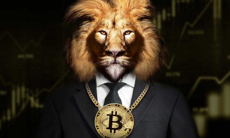 Como declarar criptomoedas no IR (e evitar malha fina)