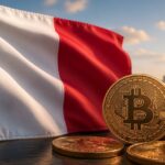 França já prendeu 88 pessoas ligadas a ataques contra investidores de criptomoedas, incluindo mais de 10 menores