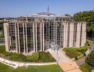 STJ debate crimes com criptomoedas em simpósio da Interpol na França