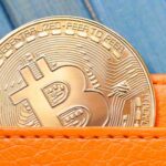 Investigador diz que corretora de bitcoin Foxbit auxiliou em maior apreensão de moedas em autocustódia de Santa Catarina