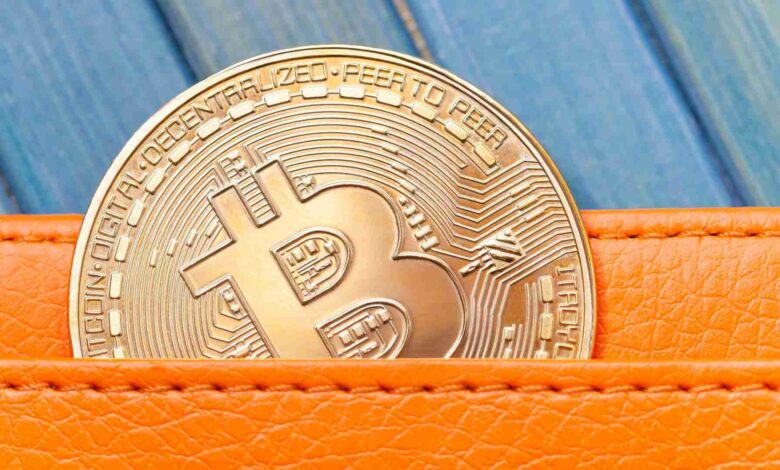 Investigador diz que corretora de bitcoin Foxbit auxiliou em maior apreensão de moedas em autocustódia de Santa Catarina