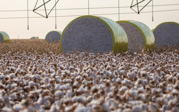 Novo líder em produção agrícola desbanca Sorriso após reclassificação